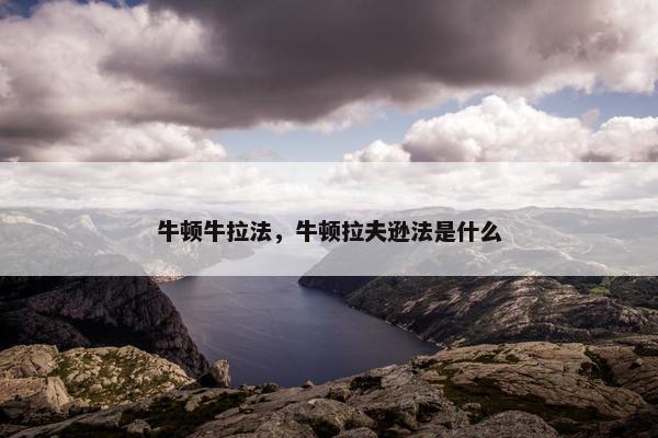 牛顿牛拉法，牛顿拉夫逊法是什么