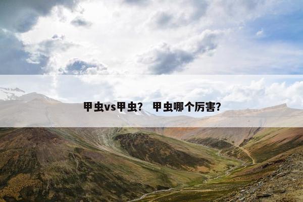 甲虫vs甲虫？ 甲虫哪个厉害？
