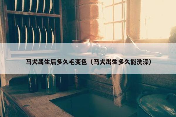 马犬出生后多久毛变色（马犬出生多久能洗澡）