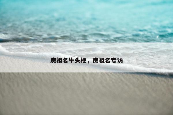 房祖名牛头梗，房祖名专访