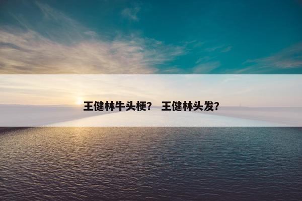 王健林牛头梗？ 王健林头发？