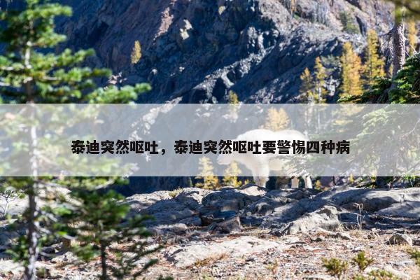 泰迪突然呕吐，泰迪突然呕吐要警惕四种病