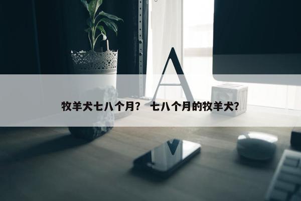牧羊犬七八个月？ 七八个月的牧羊犬？