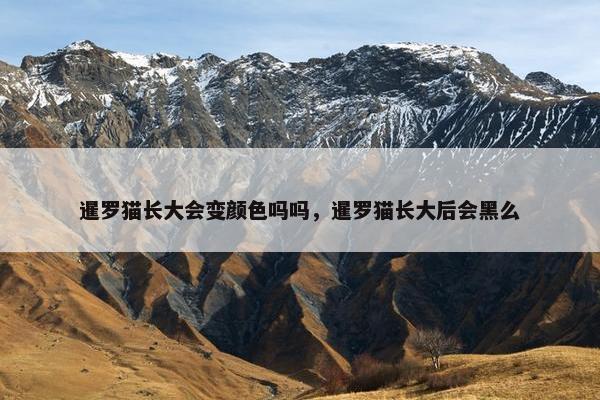 暹罗猫长大会变颜色吗吗，暹罗猫长大后会黑么