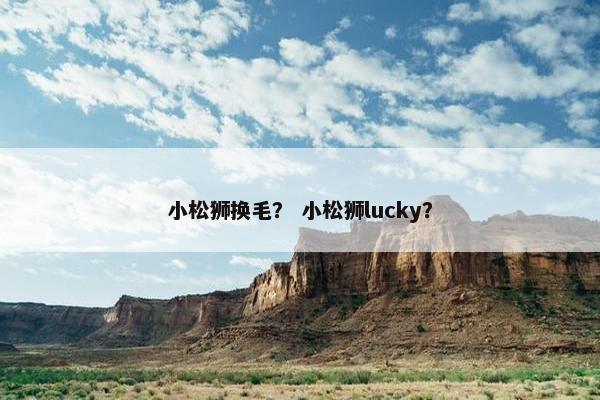 小松狮换毛？ 小松狮lucky？