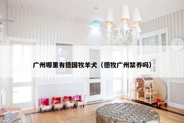 广州哪里有德国牧羊犬（德牧广州禁养吗）