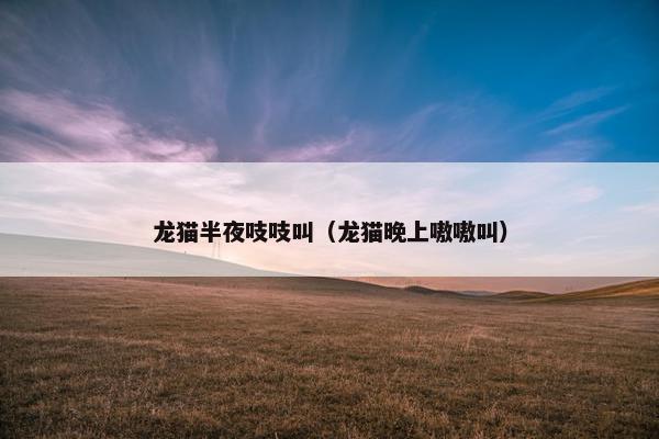 龙猫半夜吱吱叫（龙猫晚上嗷嗷叫）