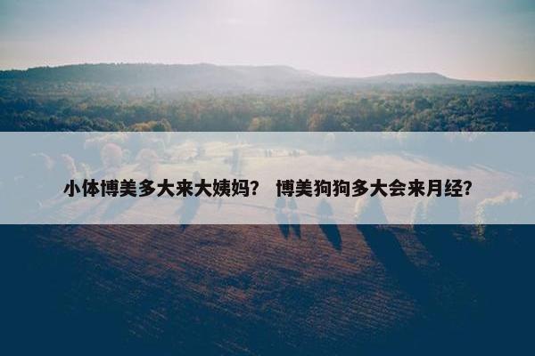 小体博美多大来大姨妈？ 博美狗狗多大会来月经？