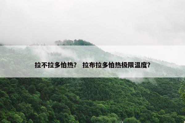 拉不拉多怕热？ 拉布拉多怕热极限温度？