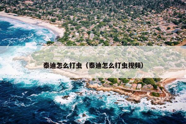 泰迪怎么打虫（泰迪怎么打虫视频）