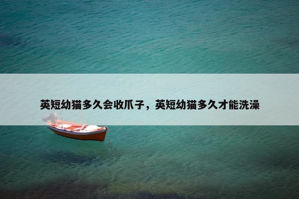 英短幼猫多久会收爪子，英短幼猫多久才能洗澡