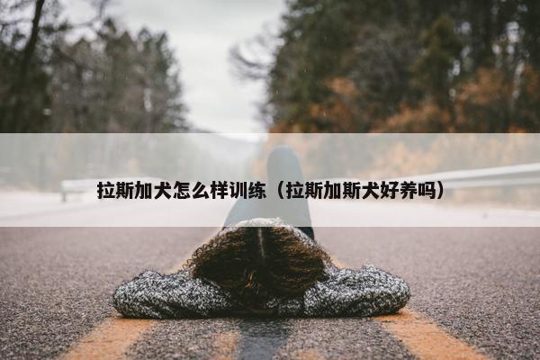 拉斯加犬怎么样训练（拉斯加斯犬好养吗）