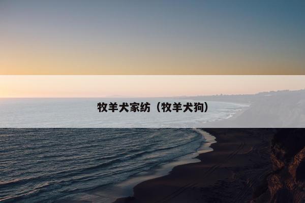 牧羊犬家纺（牧羊犬狗）