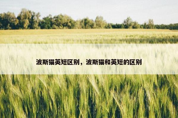 波斯猫英短区别，波斯猫和英短的区别