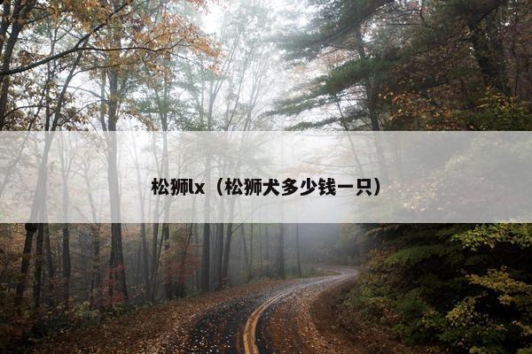松狮lx（松狮犬多少钱一只）