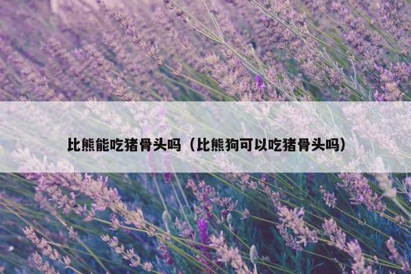 比熊能吃猪骨头吗（比熊狗可以吃猪骨头吗）
