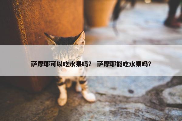 萨摩耶可以吃水果吗？ 萨摩耶能吃水果吗？