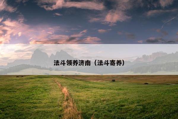 法斗领养济南（法斗寄养）