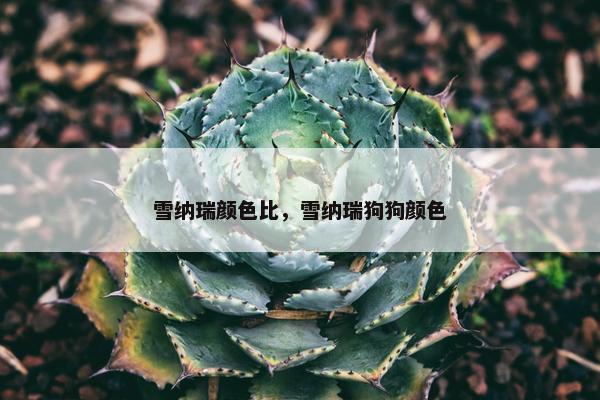 雪纳瑞颜色比，雪纳瑞狗狗颜色