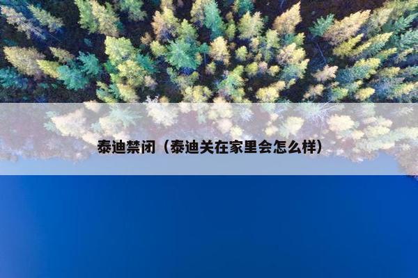 泰迪禁闭（泰迪关在家里会怎么样）
