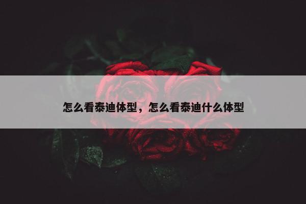 怎么看泰迪体型，怎么看泰迪什么体型