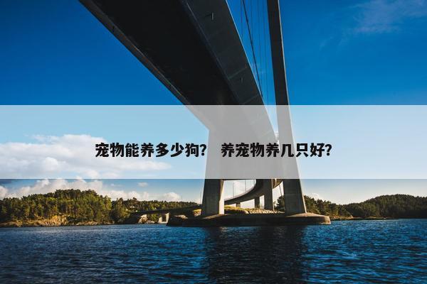 宠物能养多少狗？ 养宠物养几只好？