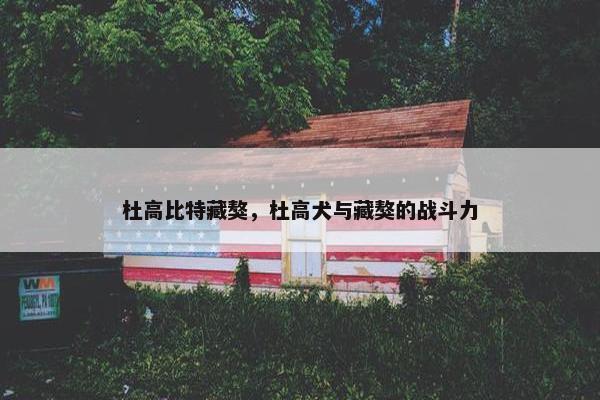 杜高比特藏獒，杜高犬与藏獒的战斗力