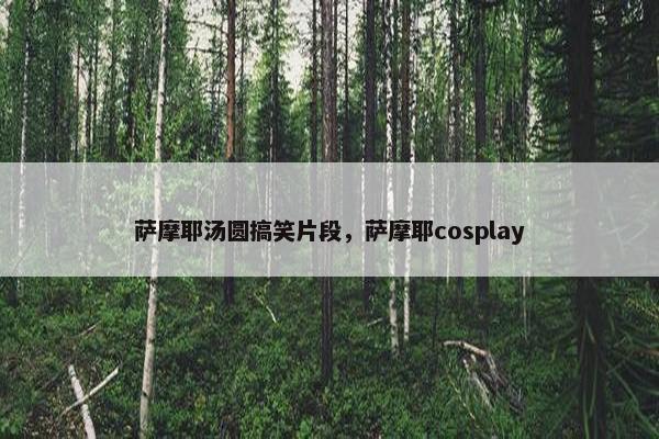 萨摩耶汤圆搞笑片段，萨摩耶cosplay
