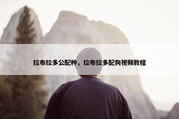 拉布拉多公配种，拉布拉多配狗视频教程