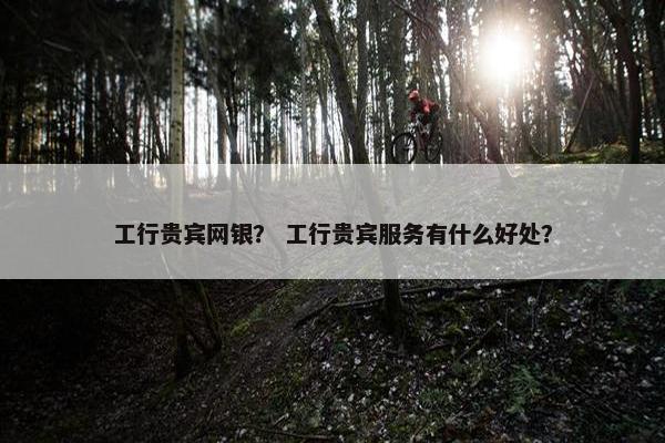 工行贵宾网银？ 工行贵宾服务有什么好处？