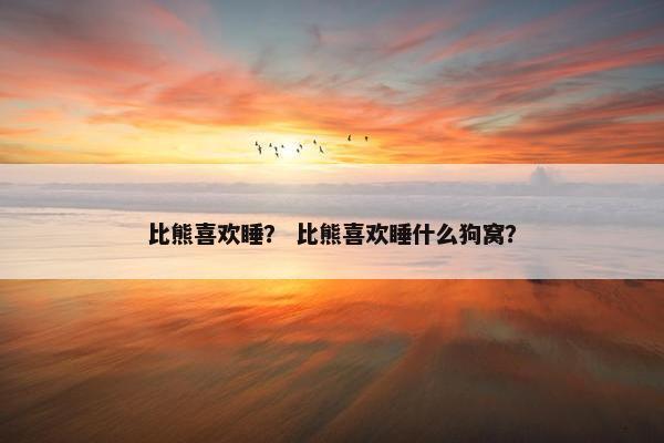 比熊喜欢睡？ 比熊喜欢睡什么狗窝？