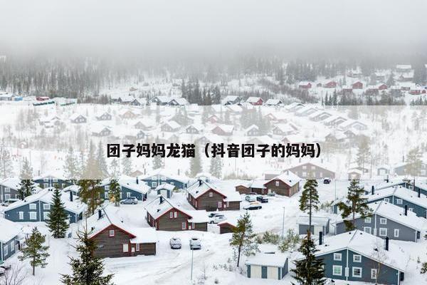 团子妈妈龙猫（抖音团子的妈妈）
