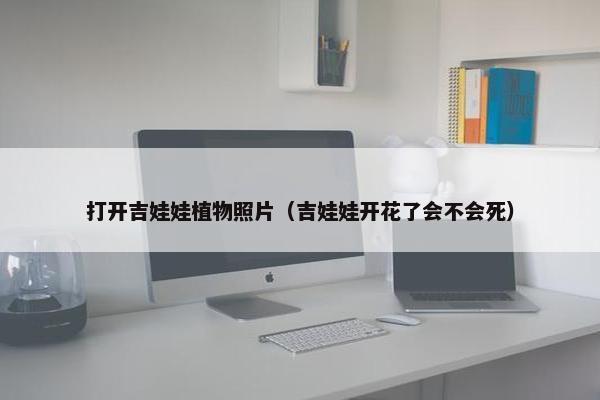 打开吉娃娃植物照片（吉娃娃开花了会不会死）
