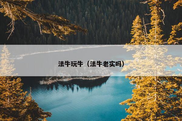 法牛玩牛（法牛老实吗）