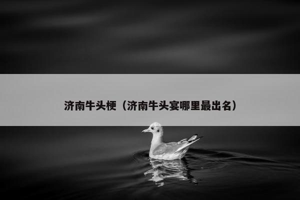 济南牛头梗（济南牛头宴哪里最出名）