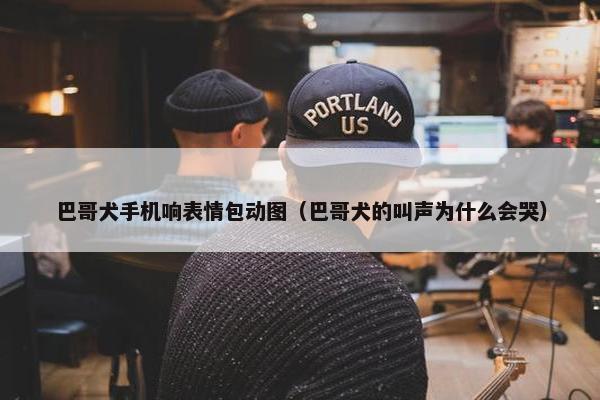 巴哥犬手机响表情包动图（巴哥犬的叫声为什么会哭）