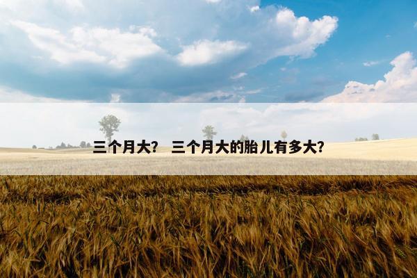 三个月大？ 三个月大的胎儿有多大？