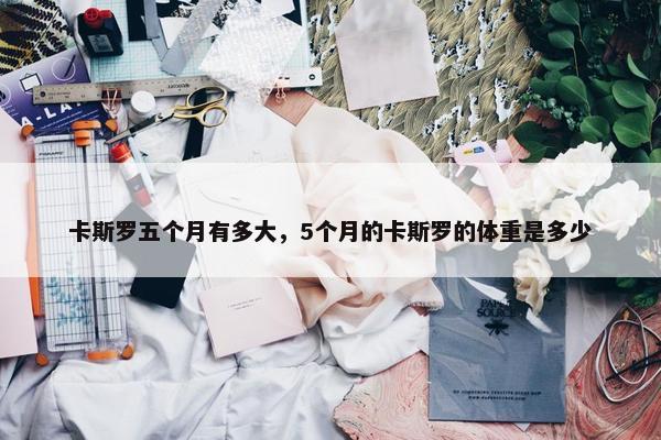 卡斯罗五个月有多大，5个月的卡斯罗的体重是多少
