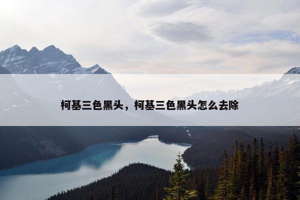 柯基三色黑头，柯基三色黑头怎么去除