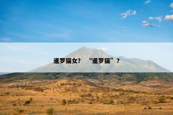 暹罗猫女？ “暹罗猫”？