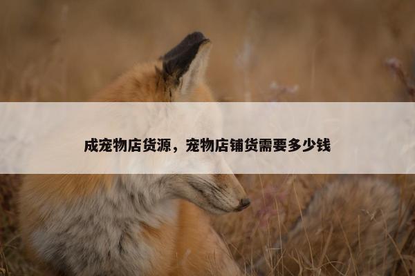 成宠物店货源，宠物店铺货需要多少钱