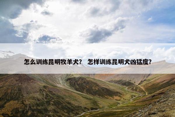 怎么训练昆明牧羊犬？ 怎样训练昆明犬凶猛度？