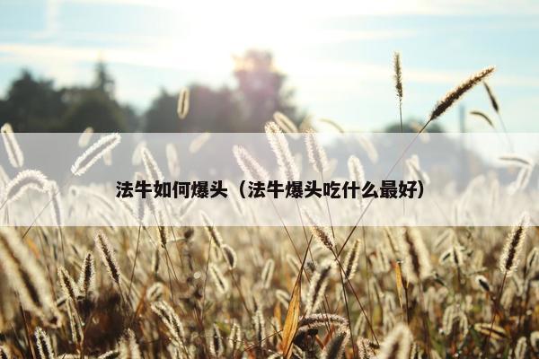 法牛如何爆头（法牛爆头吃什么最好）