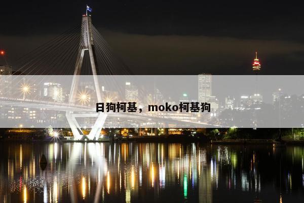 日狗柯基，moko柯基狗