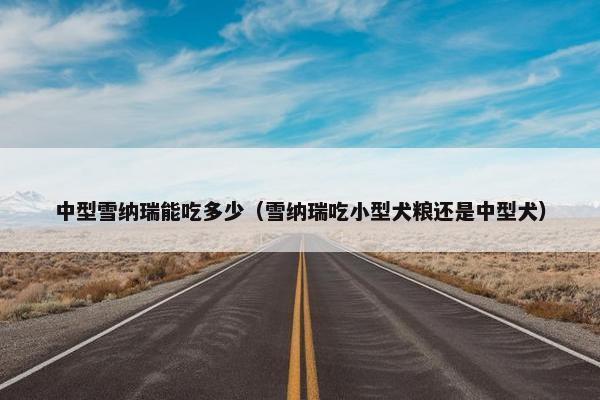 中型雪纳瑞能吃多少（雪纳瑞吃小型犬粮还是中型犬）