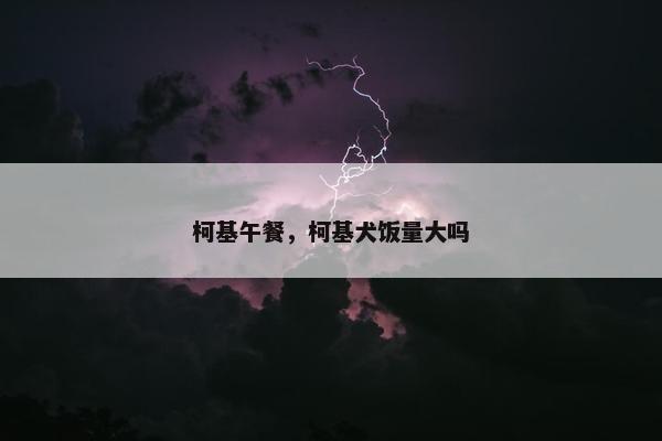 柯基午餐，柯基犬饭量大吗