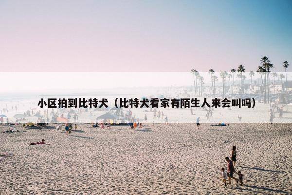 小区拍到比特犬（比特犬看家有陌生人来会叫吗）