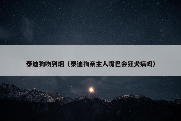 泰迪狗吻到烟（泰迪狗亲主人嘴巴会狂犬病吗）