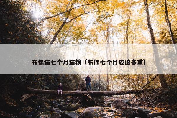 布偶猫七个月猫粮（布偶七个月应该多重）