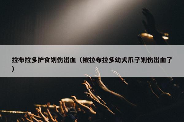 拉布拉多护食划伤出血（被拉布拉多幼犬爪子划伤出血了）